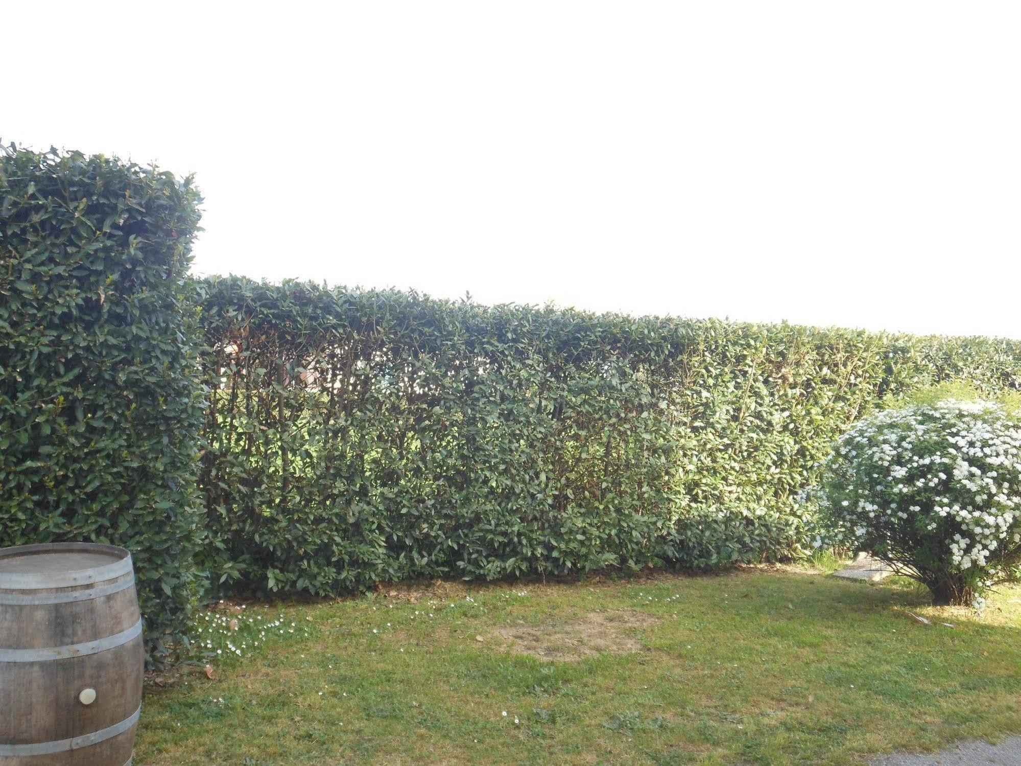 B&B La Corte Capannori Exterior photo